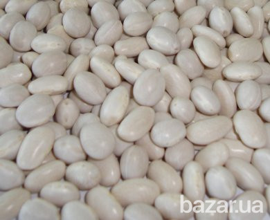 Закупаем фасоль у населения и производителей Полтава - изображение 1