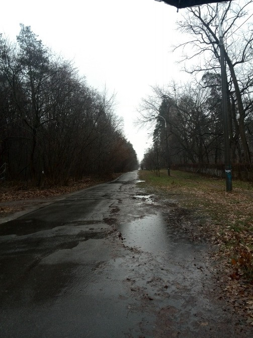 Продаж земельної ділянки. 20 сот.Пуща-Водиця.вул.Лісна Київ - зображення 4