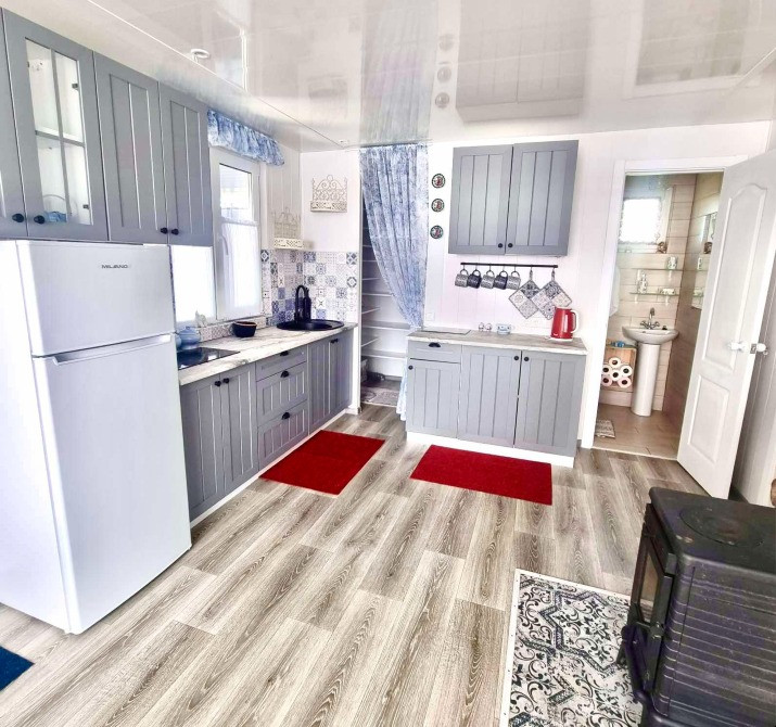 Будинок з меблями в Броварському р-ні с. Вільне Бровари - зображення 2