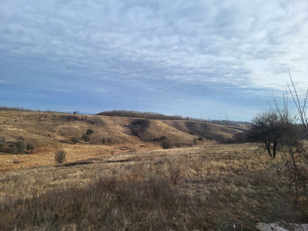 продажа земля сельскохозяйственного назначения Васильковский, Великая Бугаевка, 387000 грн.  - изображение 4