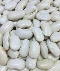 Куплю квасолю білу. Від 10 тонн Луцьк - зображення 1