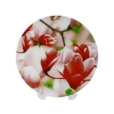 Блюдо кругле Lumines Магнолія S-3012-Q-005 30 см Київ