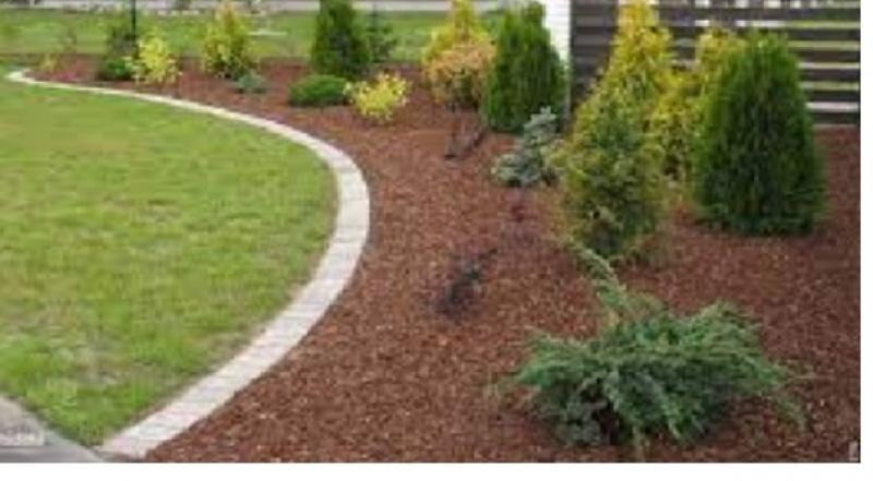 Кора соснова: велика, середня, дрібна, мульча. Декор. Опт та роздріб Киев - изображение 1