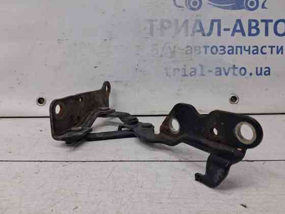 Петля капота левая Hyundai Sonata 2004-2010  (Арт. 66789) Київ