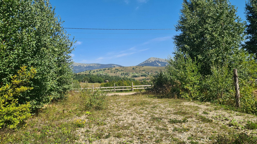 Земельна ділянка у селі Яблуниця 2.1 га Яремче - зображення 5