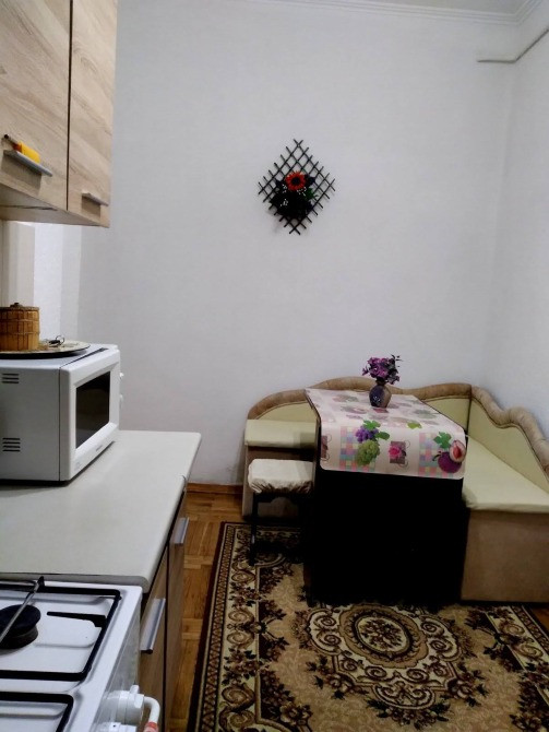 Подобова оренда квартир у Моршині Моршин - изображение 8