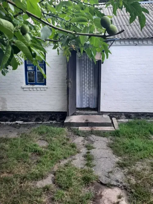 Продається затишний будинок в с. Житні Гори Білоцерківського району Київської обл. Ракитное - изображение 8