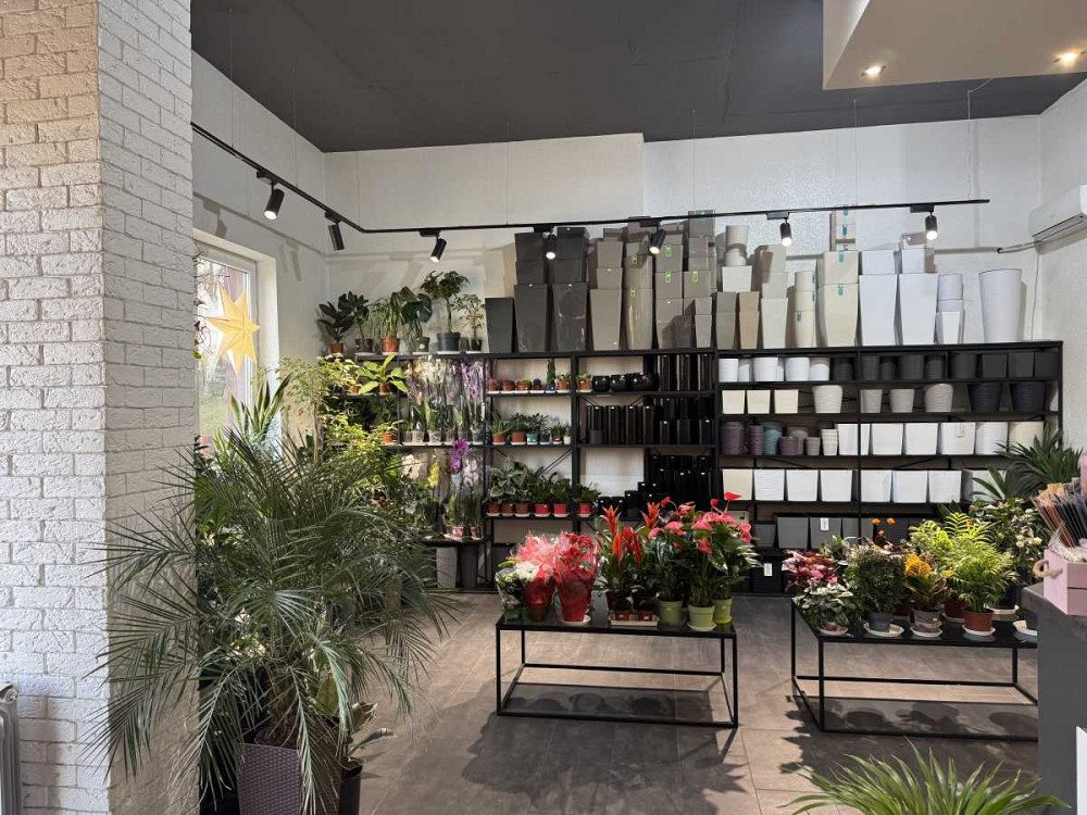 продажа помещения свободного назначения, здания Киев, Соломенский, 235000 $ Киев - изображение 10