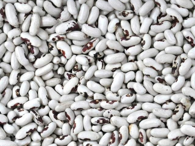 Квасоля продовольча в асортименті Одеса - зображення 1