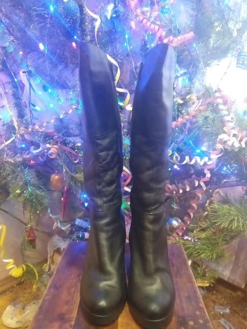 чоботи зимові "Italia design" Київ - зображення 2