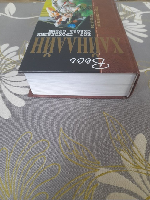 Роберт Хайнлайн Кот, проходящий сквозь стены отцы основатели фантастика Запоріжжя - зображення 7