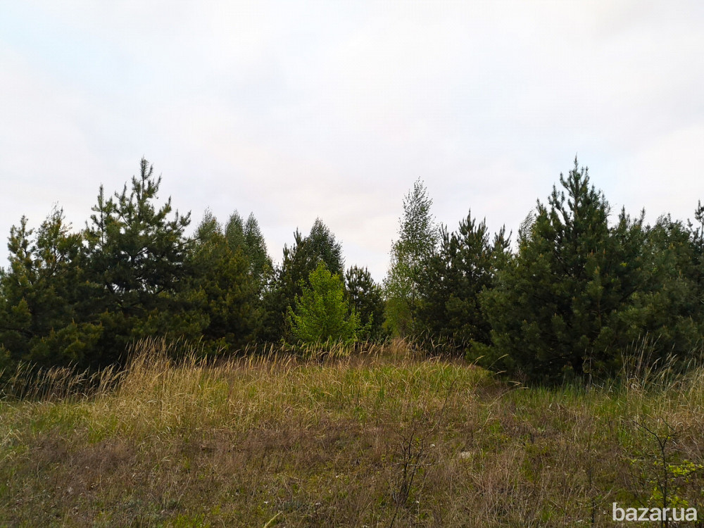 Продам 2 га ОСГ в смт.Макарів Макаров - изображение 6