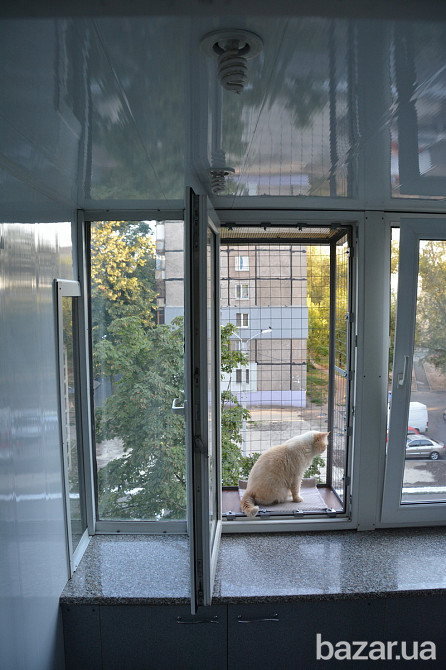 Балкон для выгула кошек, по почте. "Броневик" Днепр. Дніпро - зображення 3