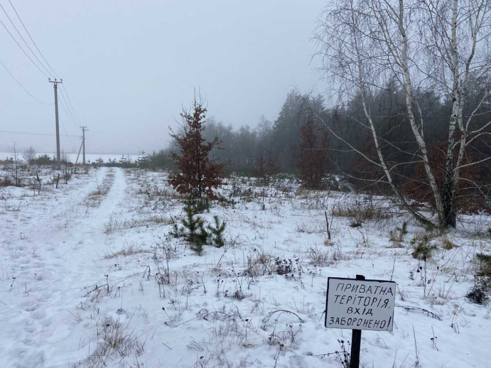 продажа участок под жилую застройку Киево-Святошинский, Музычи, 21199 $  - изображение 3