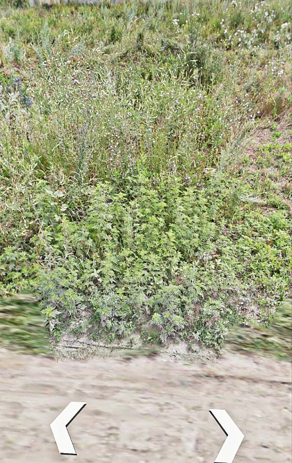 участок 10 соток в фонтанке Одеса - зображення 1