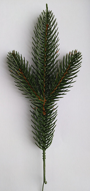 Искусственная ветка ели Элит - 3 Зелёная (700 шт.) Київ - зображення 11