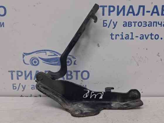 Петля капота правая SsangYong Kyron DJ 2.7 D27DT 2005 (б/у) Киев