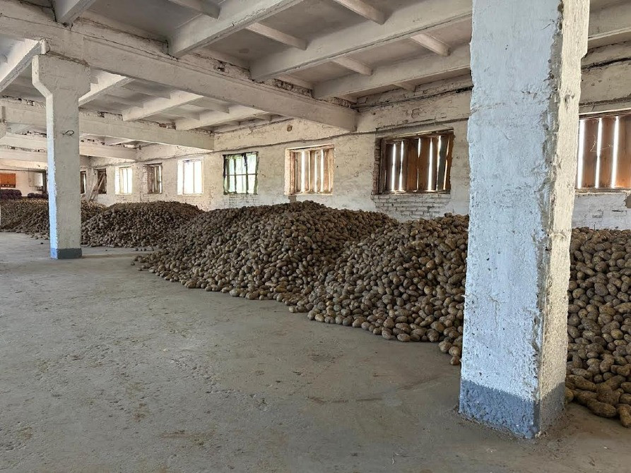 Фермерська картопля Житомир - зображення 2