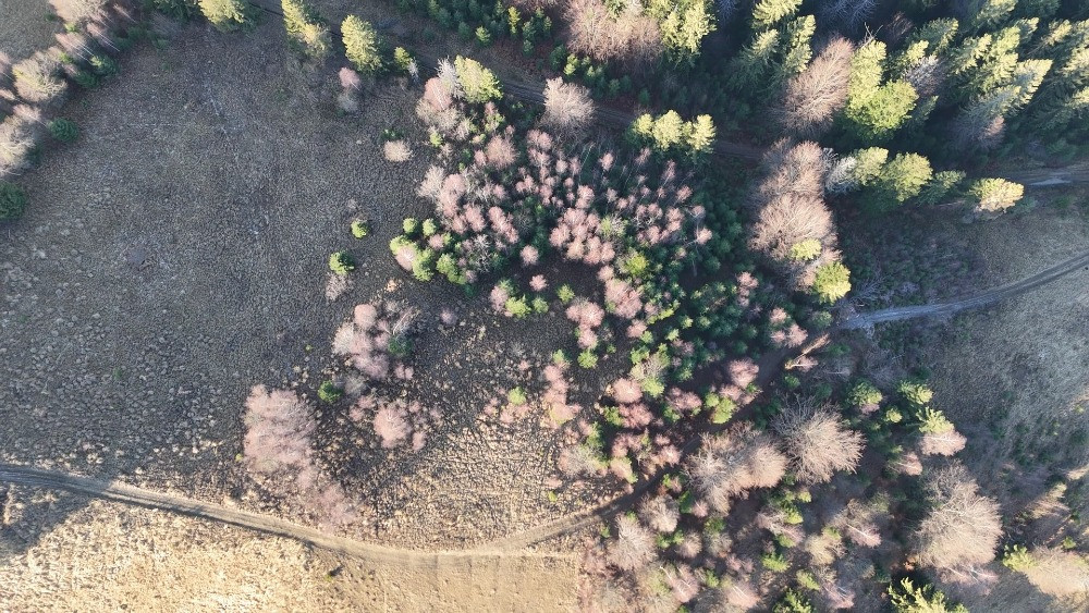 Земельна ділянка у Микуличині 0.76 га Яремче - зображення 2