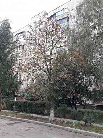 долгосрочная аренда 1-к квартира Киев, Святошинский, 10000 грн./мес. Київ