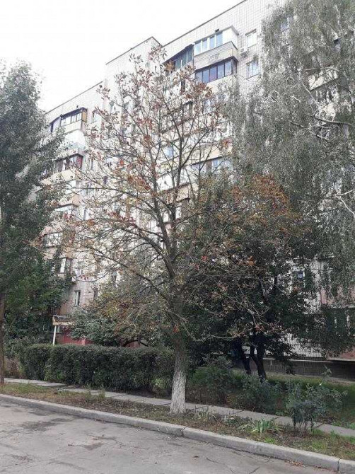 долгосрочная аренда 1-к квартира Киев, Святошинский, 10000 грн./мес. Київ - зображення 1