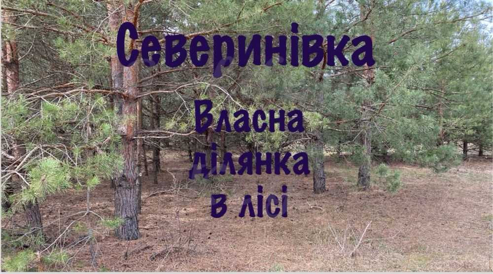 продажа участок под жилую застройку Макаровский, Севериновка, 126500 $  - изображение 1