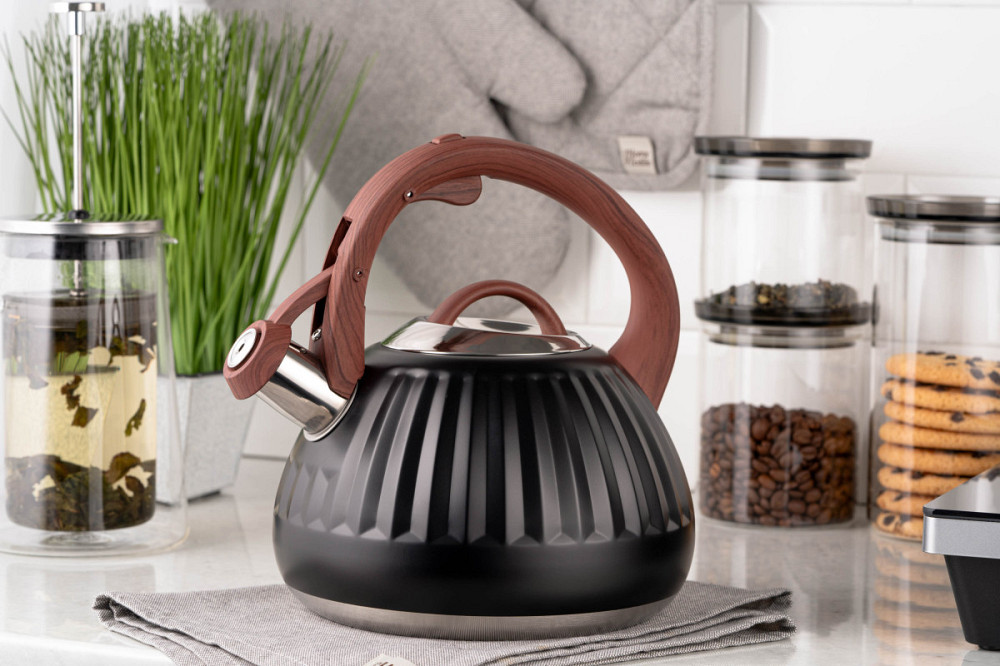 Чайник із свистком Ardesto Gemini AR-1958-KS 2.5 л чорний Киев - изображение 1