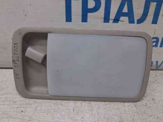 Плафон задний Nissan Leaf 2017- 264103NA0A (Арт. 84254) Киев