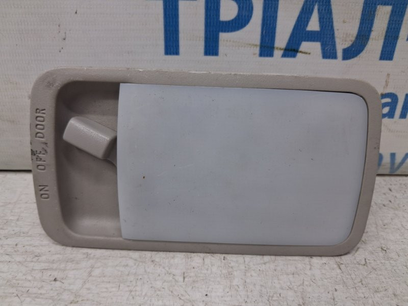 Плафон задний Nissan Leaf 2017- 264103NA0A (Арт. 84254) Киев - изображение 1