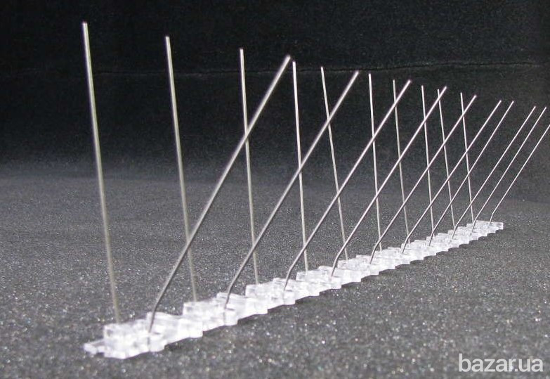 Шипы от голубей и птиц профессиональные  50 см Одесса - изображение 3