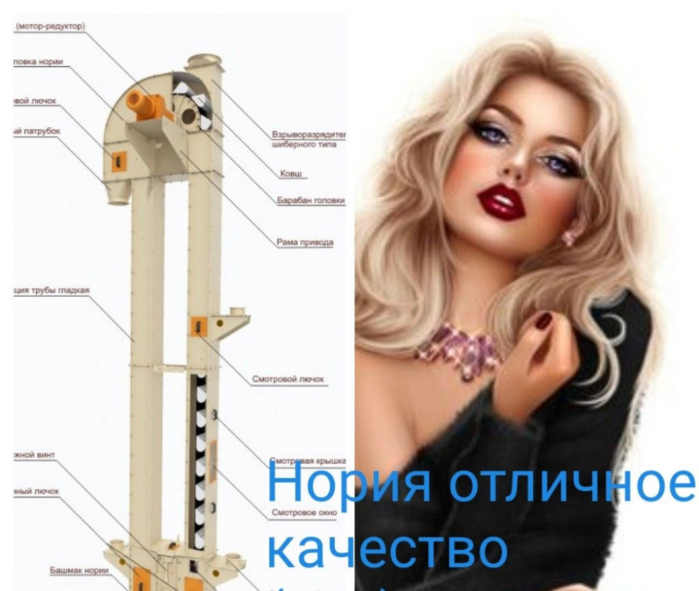 Нория ленточная НК-10 ,  ковшевой элеватор , самотечное оборудование Киев - изображение 1
