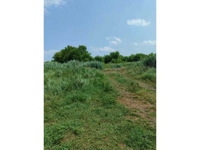 продажа земля сельскохозяйственного назначения Бородянский, Озера, 16265154 грн.  - зображення 3