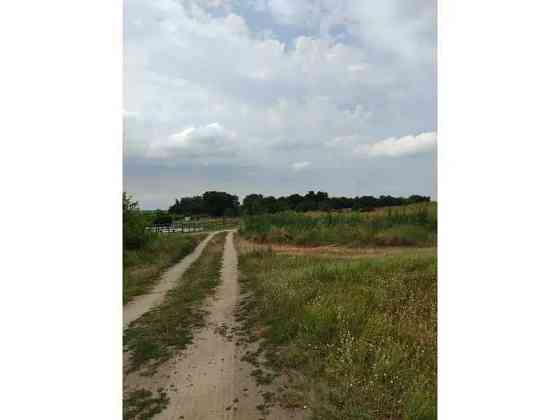 продажа земля сельскохозяйственного назначения Бородянский, Лубянка, 11893757 грн. 