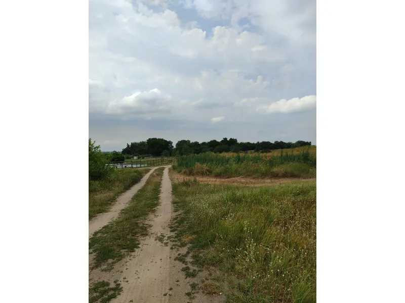 продажа земля сельскохозяйственного назначения Бородянский, Лубянка, 11893757 грн.  - зображення 2