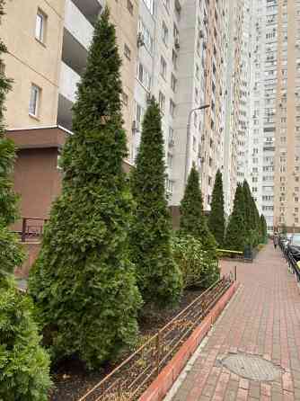 Продам отличную квартиру по ул.Урловская,38 Київ