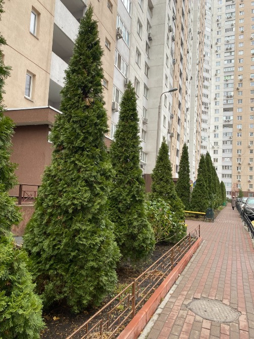 Продам отличную квартиру по ул.Урловская,38 Київ - зображення 4