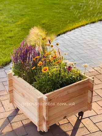 Садовий ящик-конструктор Васильків