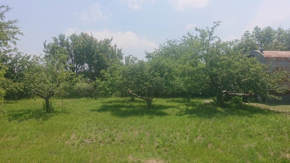 Продам дві приватизовані земельні ділянки, с. Трушки. Біла Церква - зображення 11