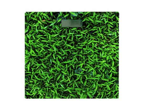 Весы напольные Grunhelm BES-GRA20 180 кг Київ - зображення 1