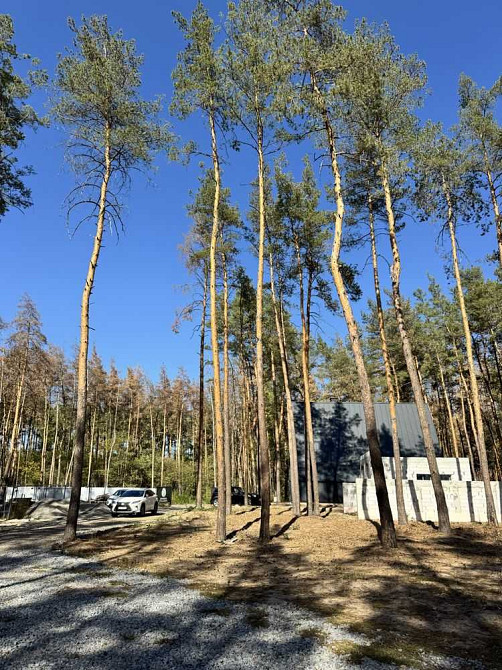 продажа участок под жилую застройку Новомосковский, Песчанка, 19950 $  - изображение 3