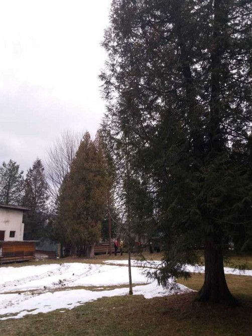 продажа 13-к дом Верховинский, Верховина, 150000 $  - зображення 9