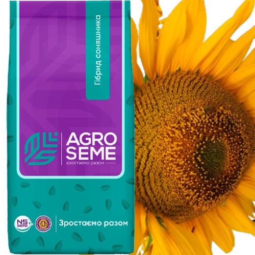 Семена подсолнечника НСХ 6045 ,НС Таурус , НС Голіант Днепр - изображение 1