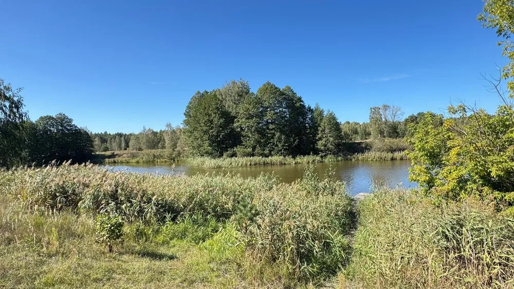 Дача в мальовничому місці поряд з озером! село Жукин! Вишгород. р-н! Вишгород - зображення 2