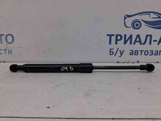 Амортизатор крышки багажника Infiniti Q50 2013- 844304GA0A (Арт. 60405) Киев