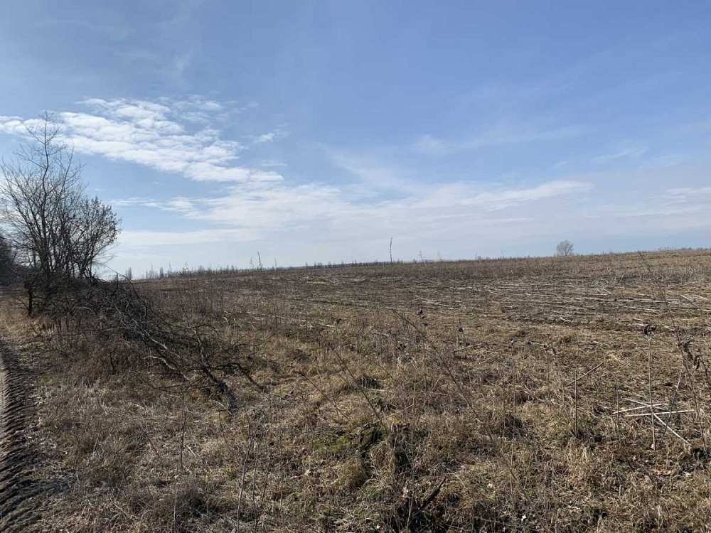 продажа земля сельскохозяйственного назначения Бориспольский, Глубокое, 389700 грн.  - изображение 5