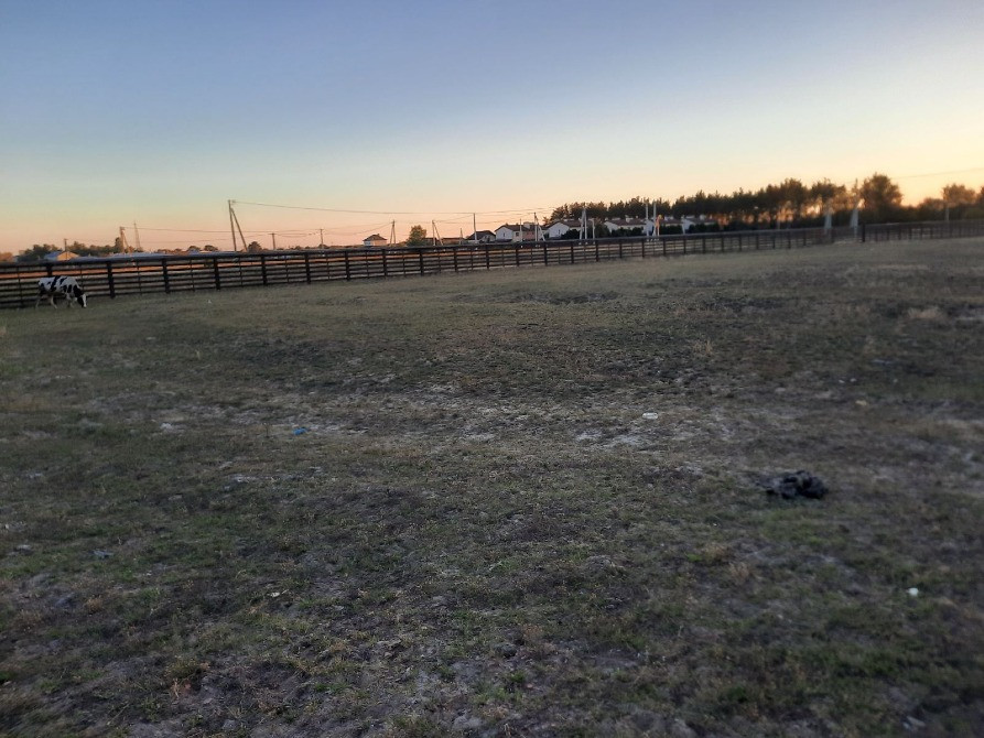 🌲 Продаж земельної ділянки в сосновому борі, с. Лебедівка! 🌲 Вышгород - изображение 1