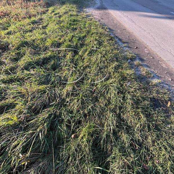 продажа участок под жилую застройку Киево-Святошинский, Гатное, 120000 $  - изображение 10