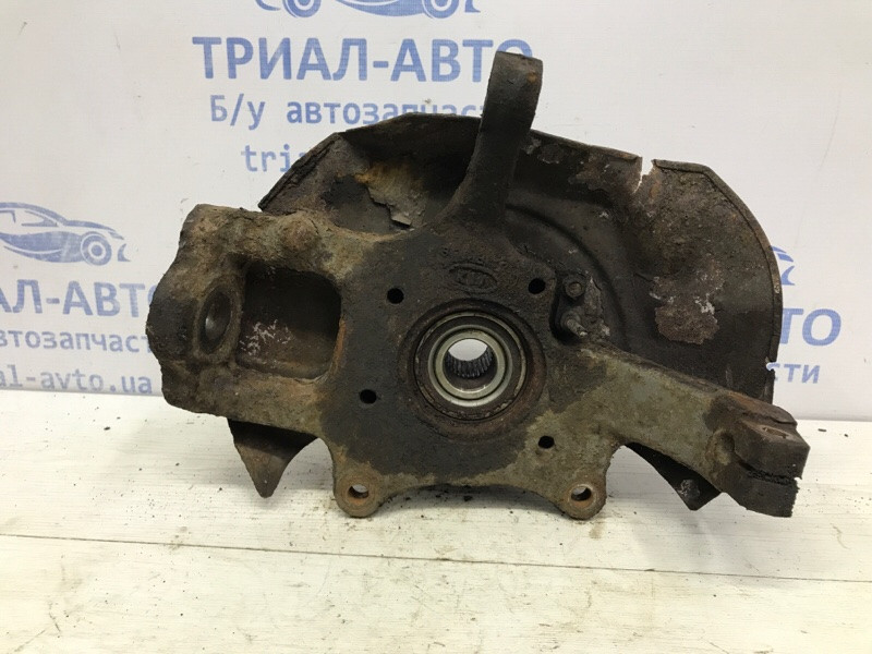 Кулак поворотный левый со ступицей Kia Sorento 2002-2011 517153E200 (Арт. 52884) Киев - изображение 1