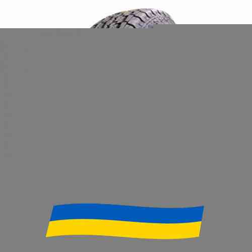 285/60 R18 Habilead RS27 PracticalMax H/T 116V Позашляхова шина Київ