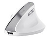 Мышь компьютерная безпроводная Trust Bayo 2 Ergonomic Wireless White 25398_TRUST белая Киев